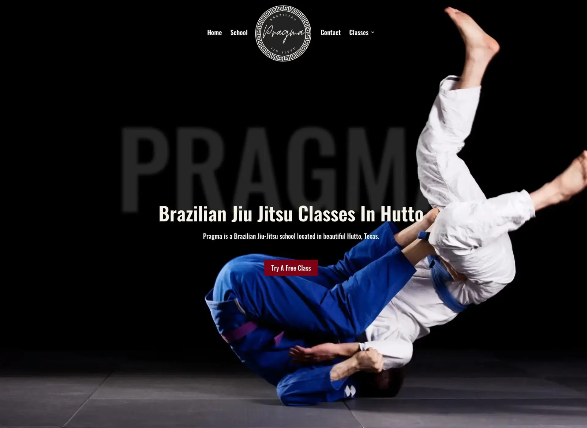 brazilian jiu jitsu website design