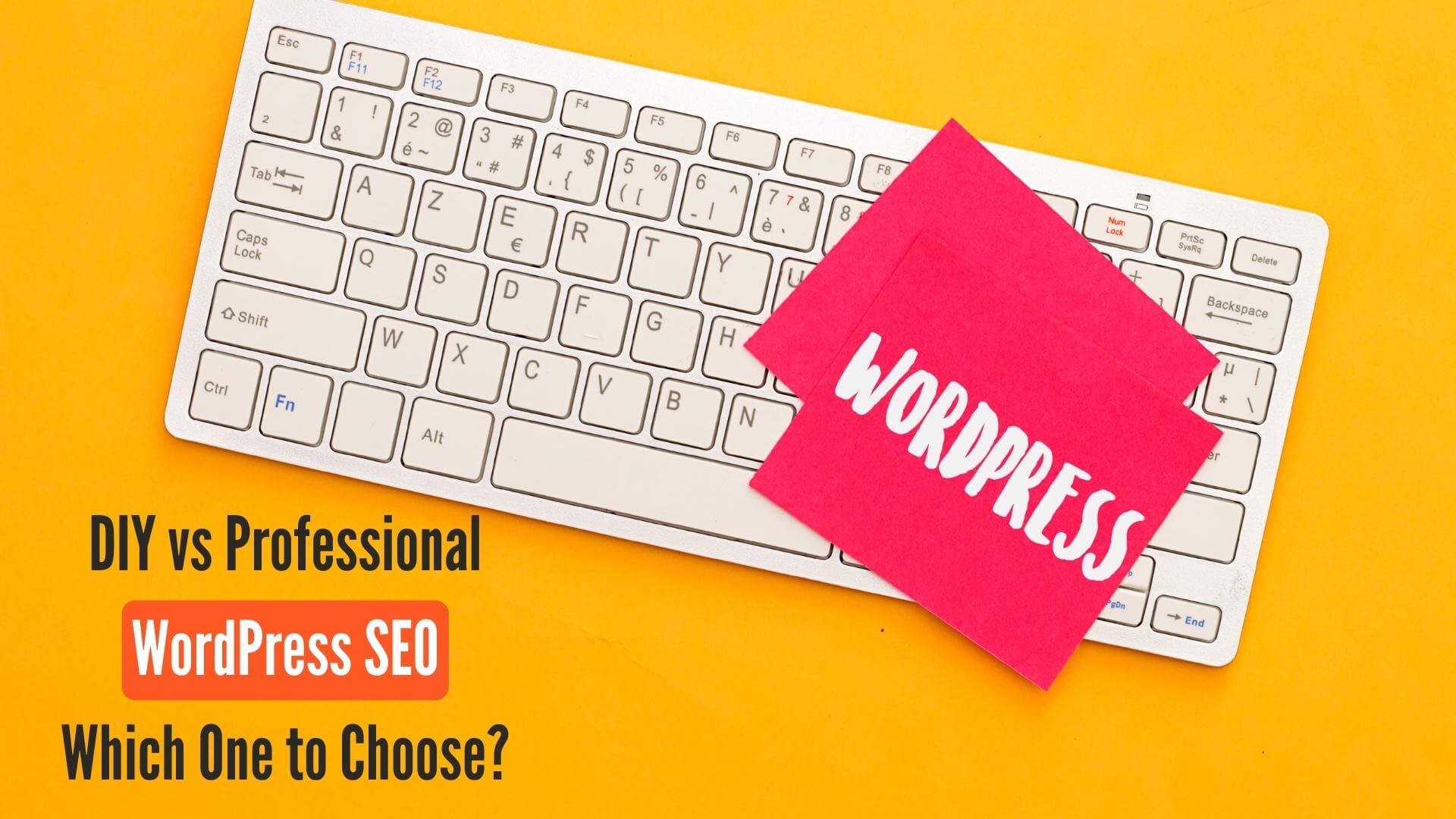 Do-It-Yourself vs. Professional WordPress SEO Services
